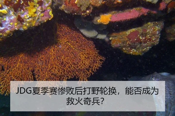 JDG夏季赛惨败后打野轮换，能否成为救火奇兵？