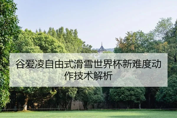 gu-ai-ling-zi-you-shi-hua-xue-shi-jie-bei-xin-nan-du-dong-zuo-ji-shu-jie-xi-2-523.jpg