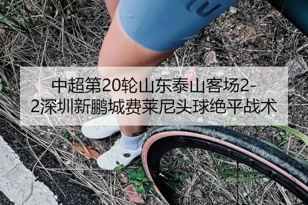 中超第20轮山东泰山客场2-2深圳新鹏城费莱尼头球绝平战术