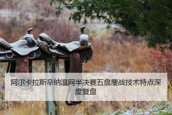 a-er-ka-la-si-xin-na-wen-wang-ban-jue-sai-wu-pan-ao-zhan-ji-shu-te-dian-shen-du-fu-pan-2-397.jpg